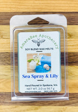 Load image into Gallery viewer, Sea Spray and Lily Wax Melts | Soy Wax | AmaraBee Apothecary
