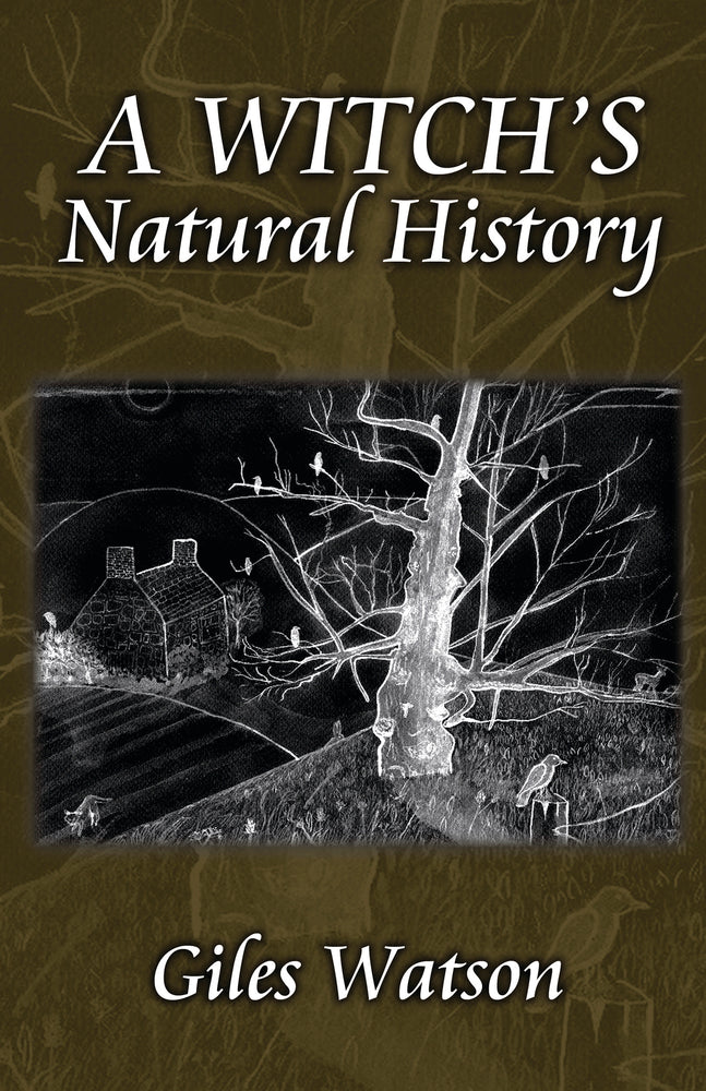 A Witch's Natural History by Giles Watson