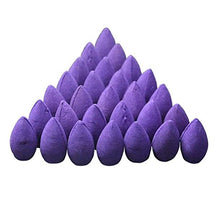 Load image into Gallery viewer, Forest &amp; Fig Backflow Incense Cones
