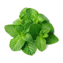 Load image into Gallery viewer, Mint Leaf | Apothecary | Witchcraft | Wicca | Ritual | spell casting
