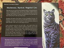 Load image into Gallery viewer, The Enchanted Cat by Ellen Dugan | Feline Fascinations, Spells and Magick
