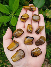 Load image into Gallery viewer, Tiger’s Eye  Polished Tumbled Gemstone
